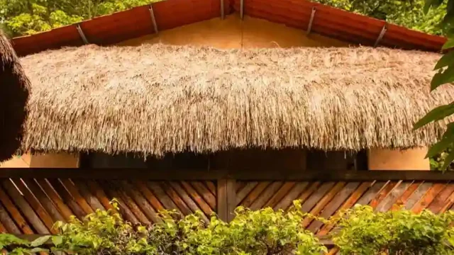 Ixak Cabañas Huehuetlán